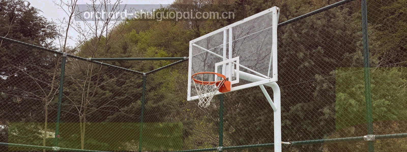 果瓣切面与奶油白条款编号索引叠加的半透明抽象视觉，无人物、无具体文字